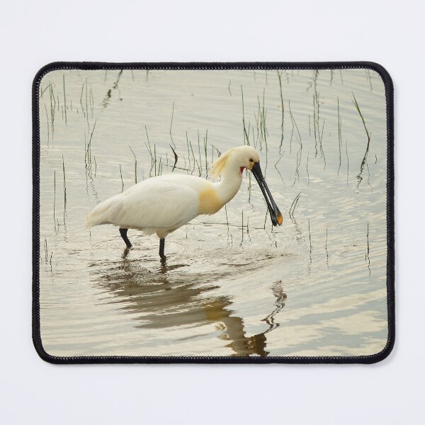 Item preview, Spoonbill designed and sold by Vanja Rosenthal.