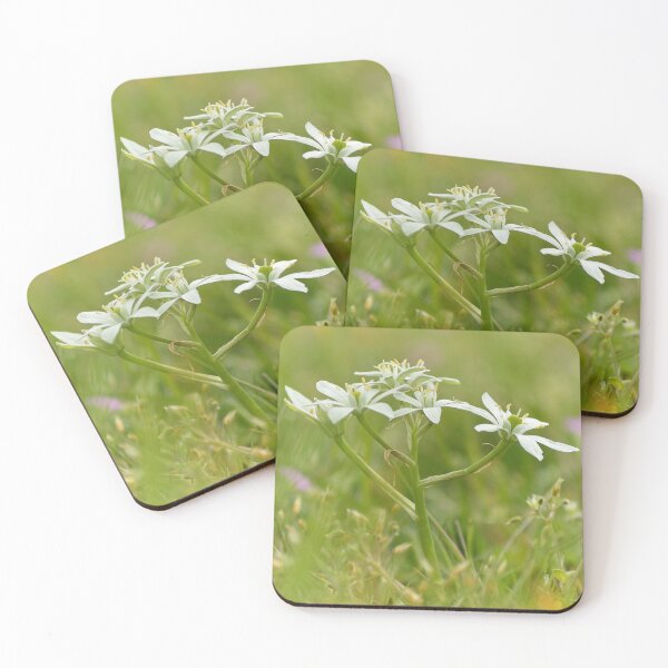 Item preview, Star of Bethlehem designed and sold by Vanja Rosenthal.