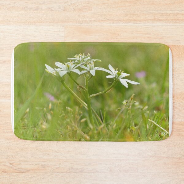 Item preview, Star of Bethlehem designed and sold by Vanja Rosenthal.