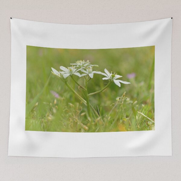 Item preview, Star of Bethlehem designed and sold by Vanja Rosenthal.