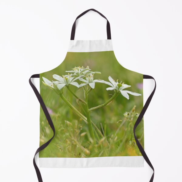 Item preview, Star of Bethlehem designed and sold by Vanja Rosenthal.