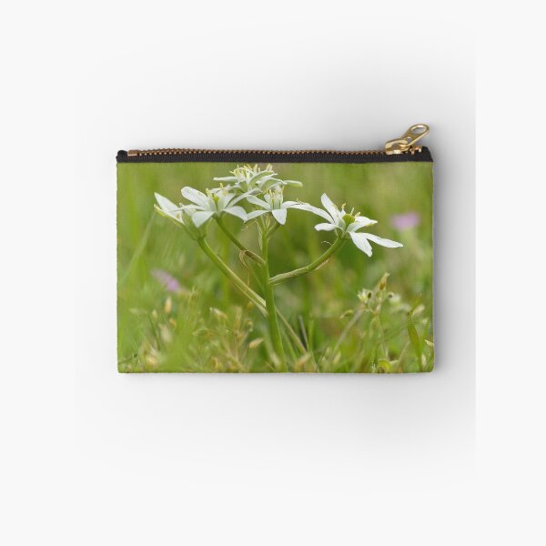 Item preview, Star of Bethlehem designed and sold by Vanja Rosenthal.