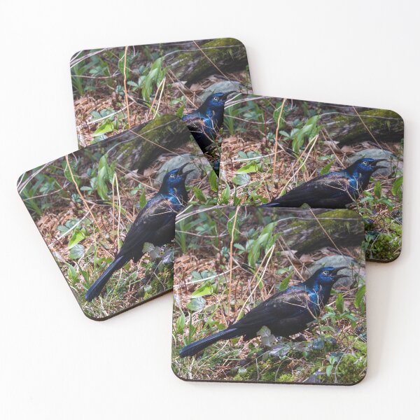 Item preview, Shout it Out designed and sold by Tim Dusenberry.