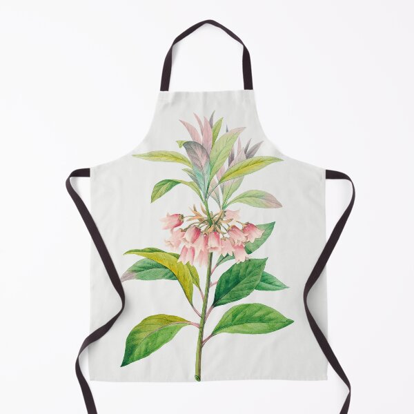 Aperçu de l'œuvre Gravure Botanique Vintage Redouté : Redvein Enkianthus créée et vendue par PureVintageLove.
