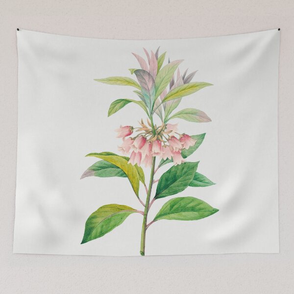 Aperçu de l'œuvre Gravure Botanique Vintage Redouté : Redvein Enkianthus créée et vendue par PureVintageLove.