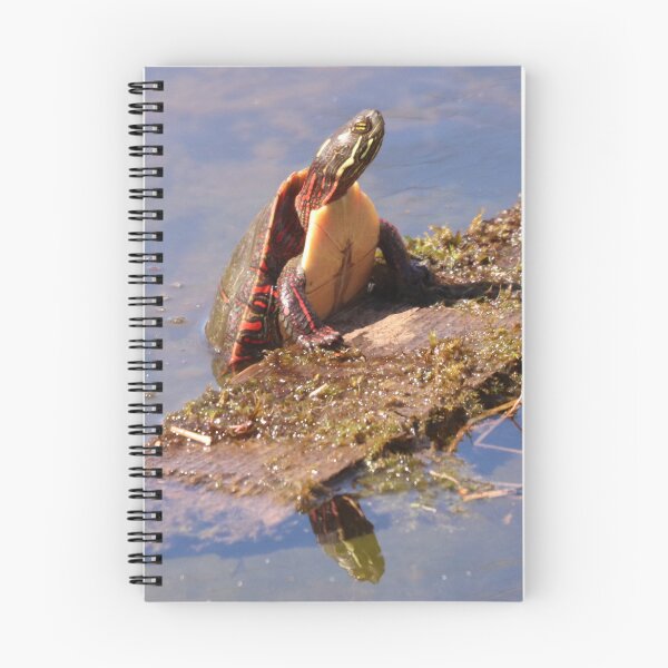 Item preview, A Sweet Little Painted Turtle designed and sold by Judy Geller.
