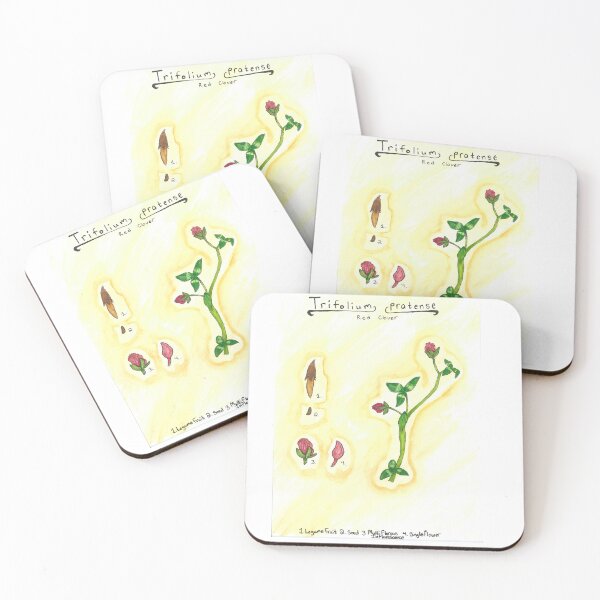 Item preview, Trifolium pratense (Red Clover) designed and sold by fhandsmcmike.