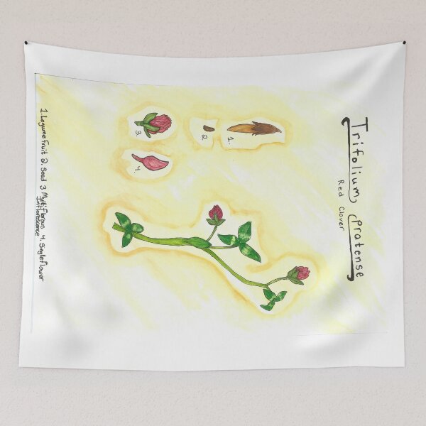 Item preview, Trifolium pratense (Red Clover) designed and sold by fhandsmcmike.
