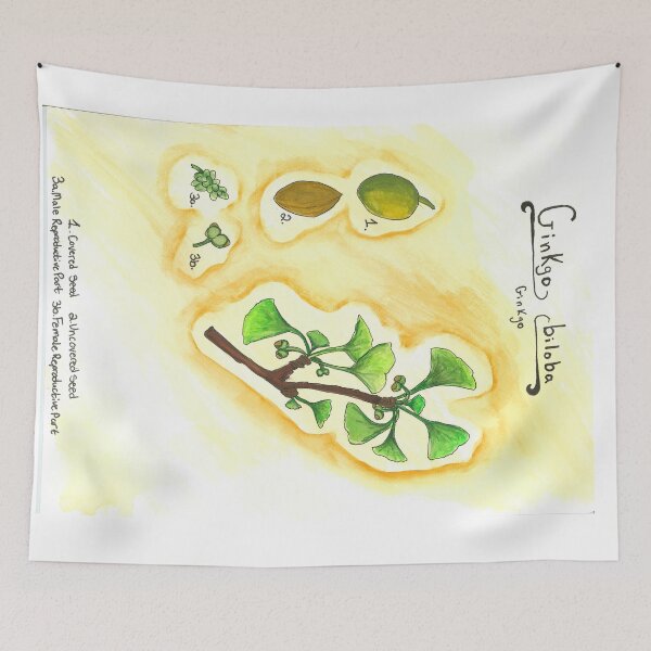 Item preview, Ginkgo biloba (Ginkgo) designed and sold by fhandsmcmike.