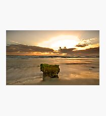 The Sacred Moss Rock Photographic Print