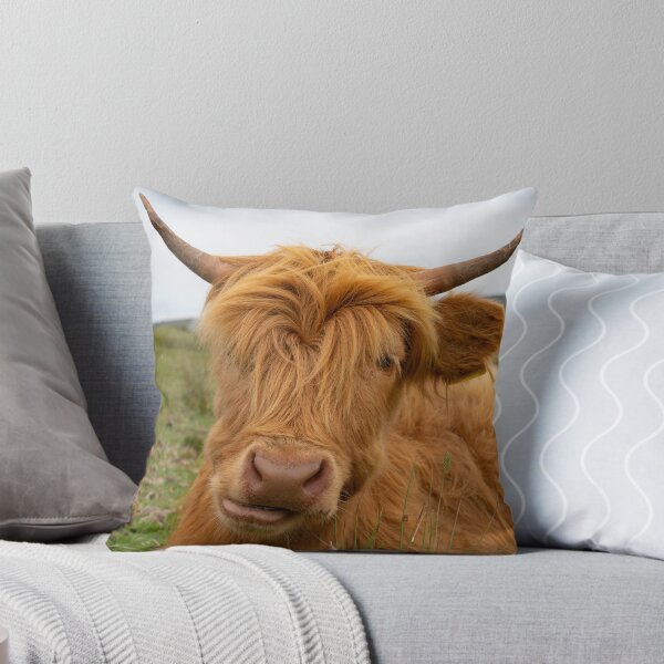 Item preview, Can u moo it  designed and sold by hawkie.
