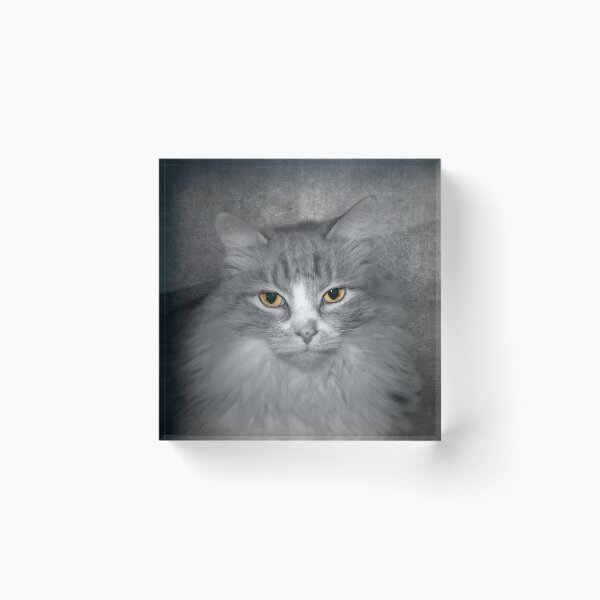 Item preview, Cat designed and sold by Savannah Gibbs.