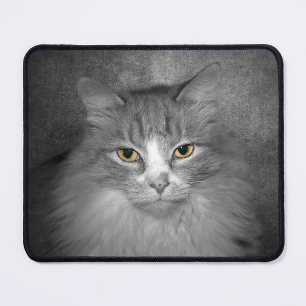 Item preview, Cat designed and sold by Savannah Gibbs.
