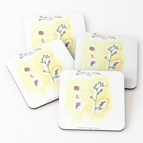 Item preview, Medicago sativa (Alfalfa) designed and sold by fhandsmcmike.