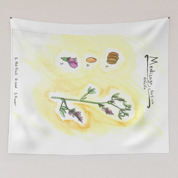 Item preview, Medicago sativa (Alfalfa) designed and sold by fhandsmcmike.