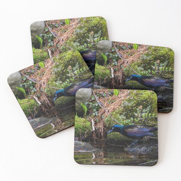 Item preview, Looking designed and sold by Tim Dusenberry.