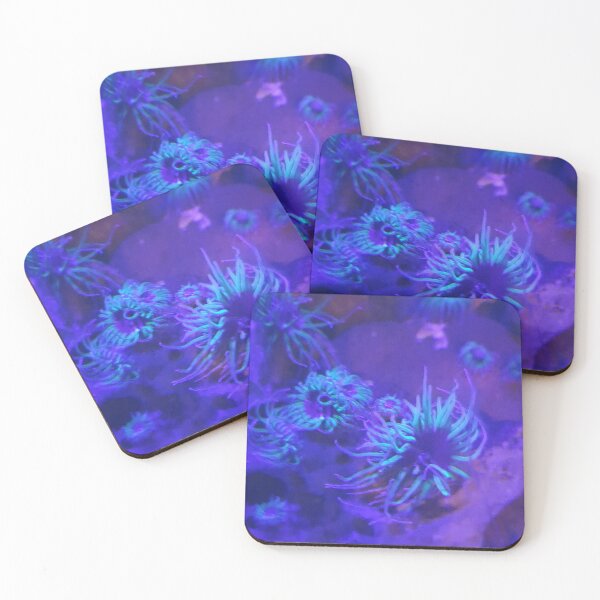 Item preview, Anemones  designed and sold by amanda150771.