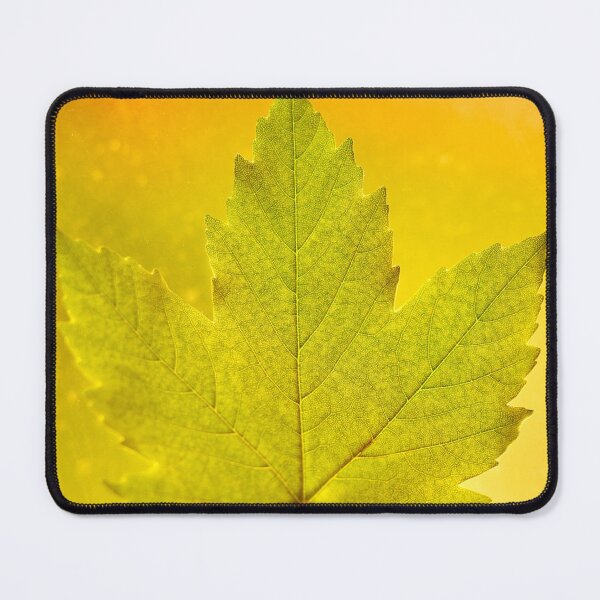 Item preview, Maple Leaf designed and sold by IgorKovalenko.