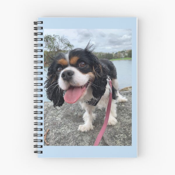 Item preview, Cavalier King Charles Spaniel Tri Color designed and sold by NickiBraun.