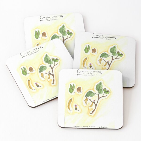 Item preview, Corylus americana (American hazelnut) designed and sold by fhandsmcmike.