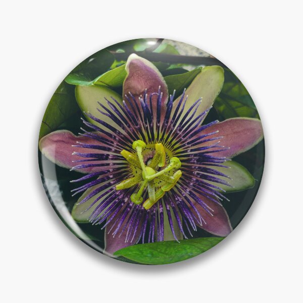 Item preview, Passionflower designed and sold by Boreal11 .