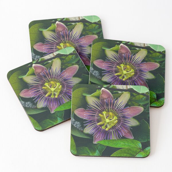 Item preview, Passionflower designed and sold by universosuave.
