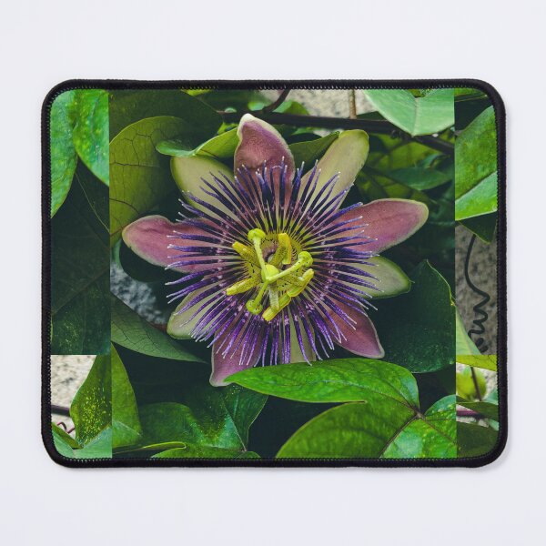 Item preview, Passionflower designed and sold by universosuave.