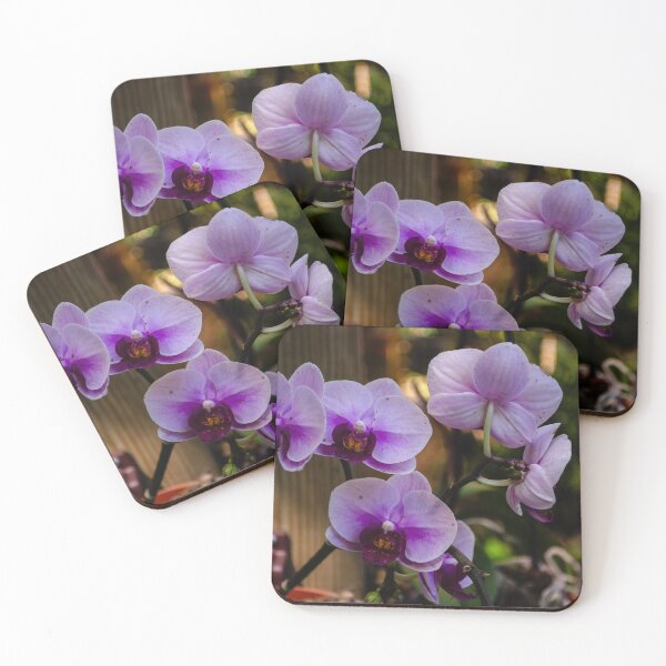 Item preview, Purple Orchids, designed and sold by Sherri's Stuff.