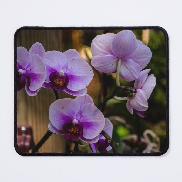 Item preview, Purple Orchids, designed and sold by Sherri's Stuff.