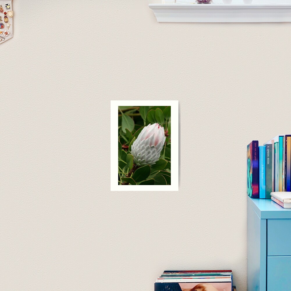 Item preview, Art Print designed and sold by Kells.