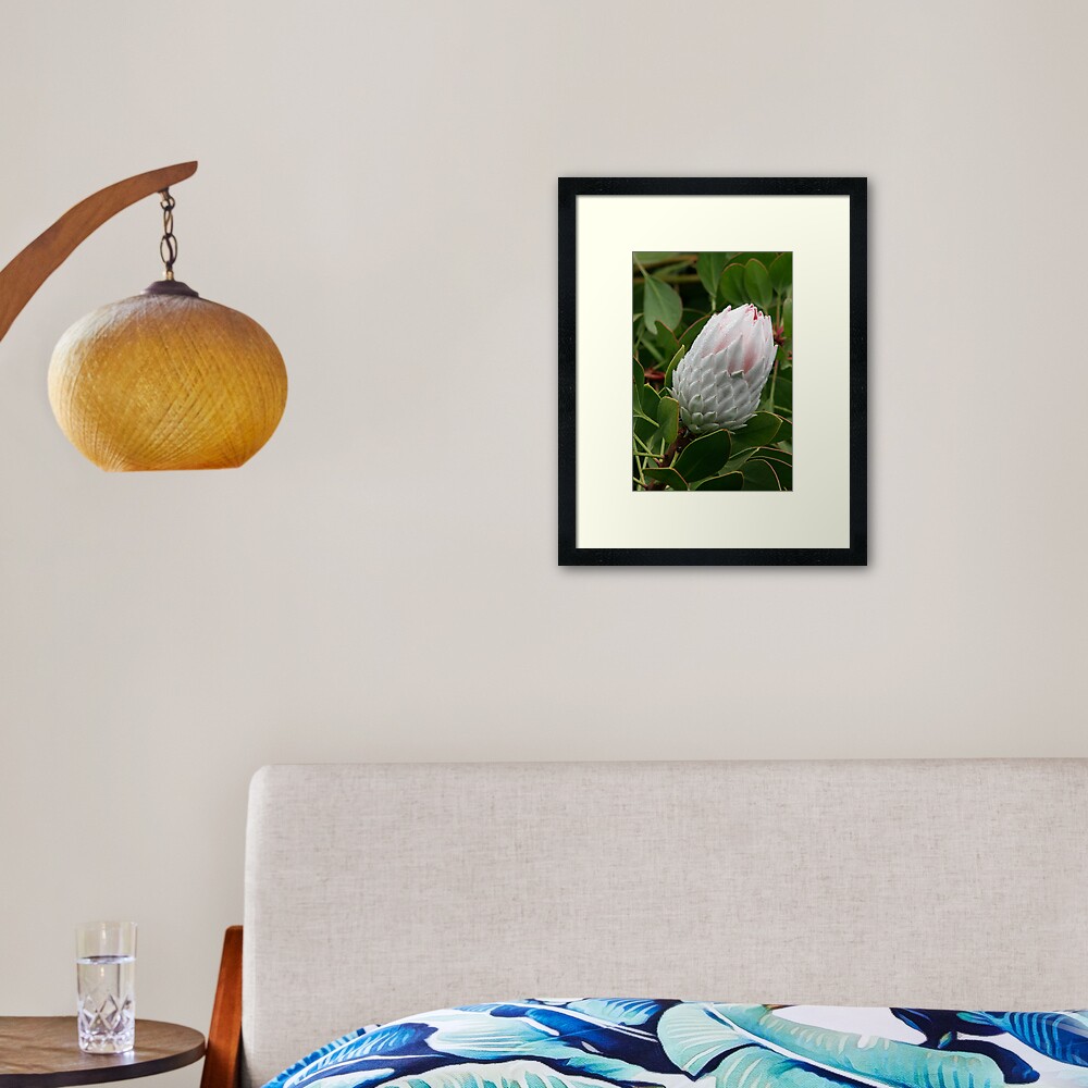 Item preview, Framed Art Print designed and sold by Kells.