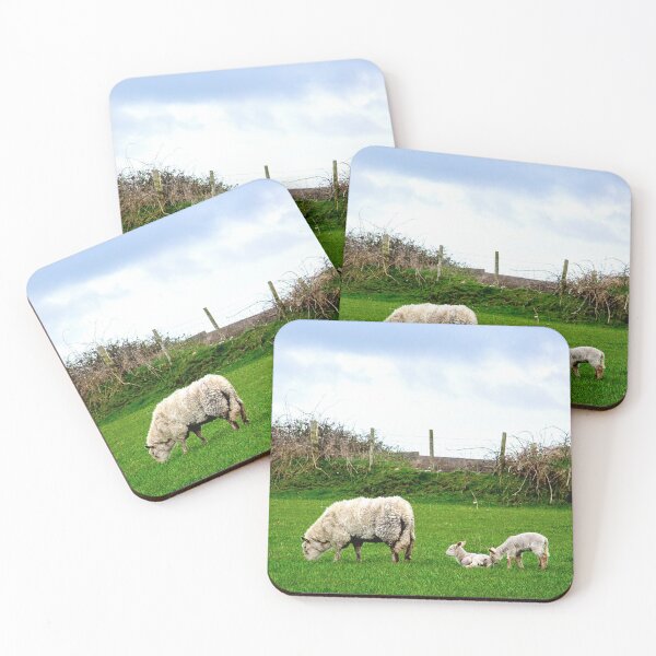 Item preview, Sheep and lambs on Aughris Coastal Walk, Co. Sligo, Ireland designed and sold by irishmurr.