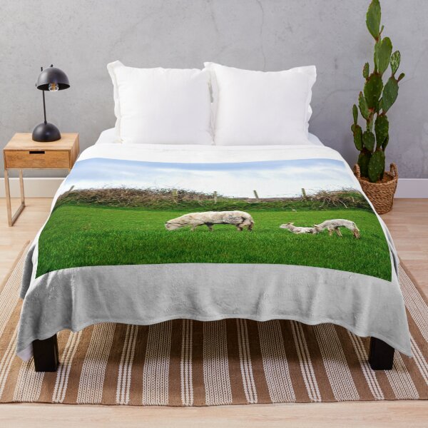 Item preview, Sheep and lambs on Aughris Coastal Walk, Co. Sligo, Ireland designed and sold by irishmurr.
