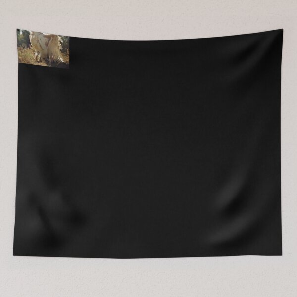 Item preview, Griffin | Photography designed and sold by ComicsFactory.