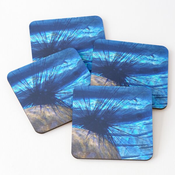 Item preview, Sea Urchin  designed and sold by amanda150771.