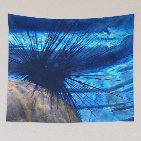 Item preview, Sea Urchin  designed and sold by amanda150771.
