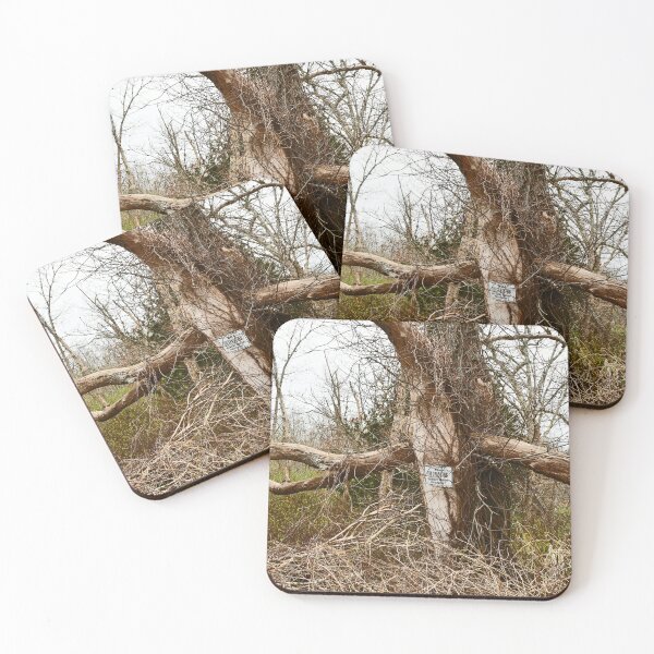 Item preview, No trespassing... designed and sold by Poete100.