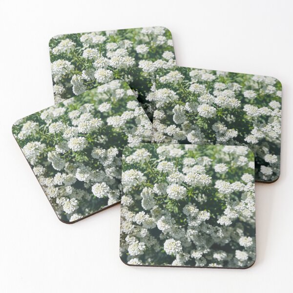 Item preview, Sweet Alyssum designed and sold by Rainforestshoka.