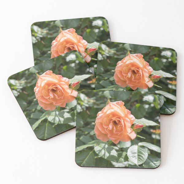 Item preview, Peach-colored Allure - Fragrant Rose in Full Bloom designed and sold by Georgia Mizuleva.