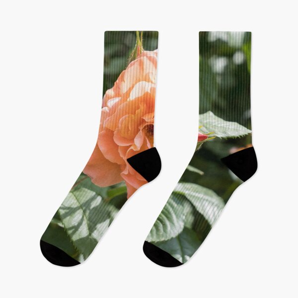 Item preview, Peach-colored Allure - Fragrant Rose in Full Bloom designed and sold by Georgia Mizuleva.
