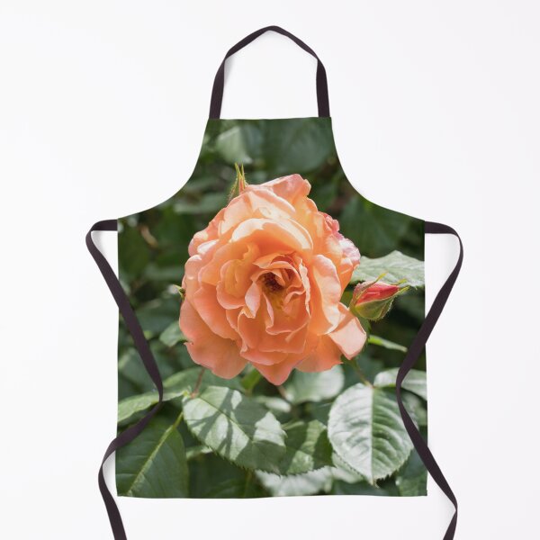 Item preview, Peach-colored Allure - Fragrant Rose in Full Bloom designed and sold by Georgia Mizuleva.