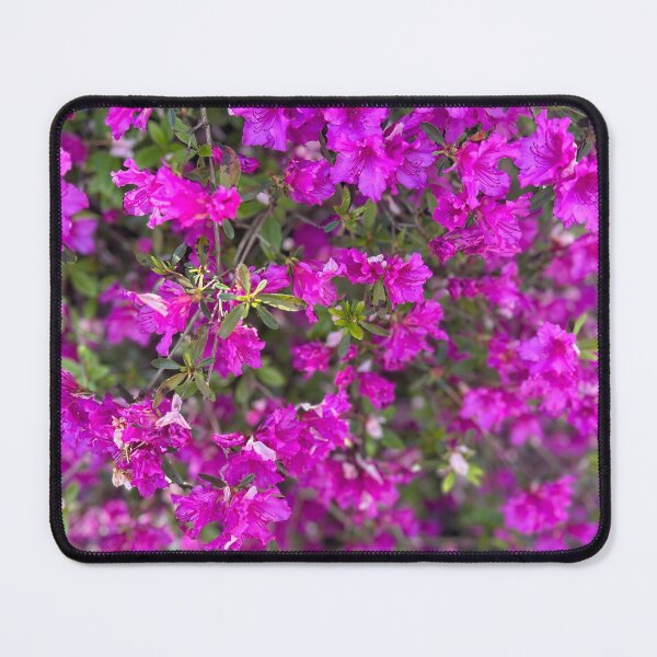 Item preview, Gorgeous Azalea designed and sold by Rainforestshoka.