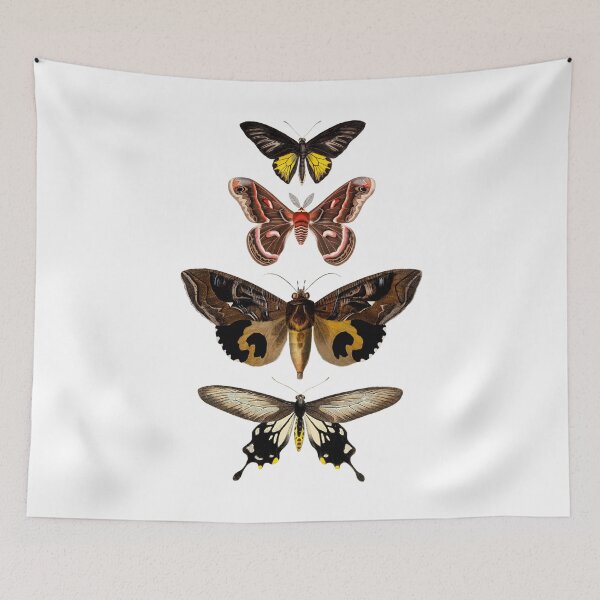 Item preview, Entomology Moth Luna Moth Lunar Moth Dragonfly Insects Bugs Celestial Butterflies  designed and sold by InnaMGraphic.