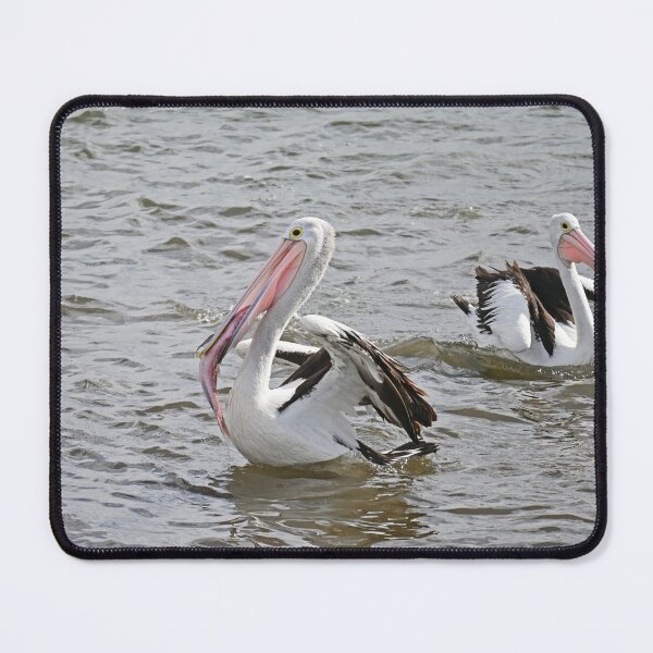 Item preview, Australian pelican eating a big fish designed and sold by Doug Cliff.