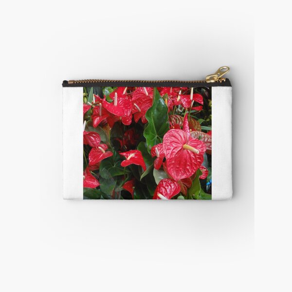 Item preview, Anthuriums - Red wax lily flowers in Guagzhou flower Market China designed and sold by exploramum.