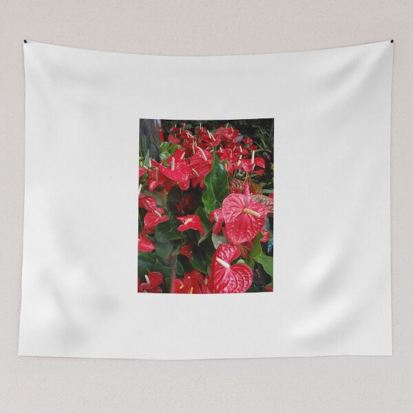 Item preview, Anthuriums - Red wax lily flowers in Guagzhou flower Market China designed and sold by exploramum.