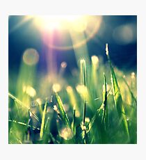 Starfall Photographic Print