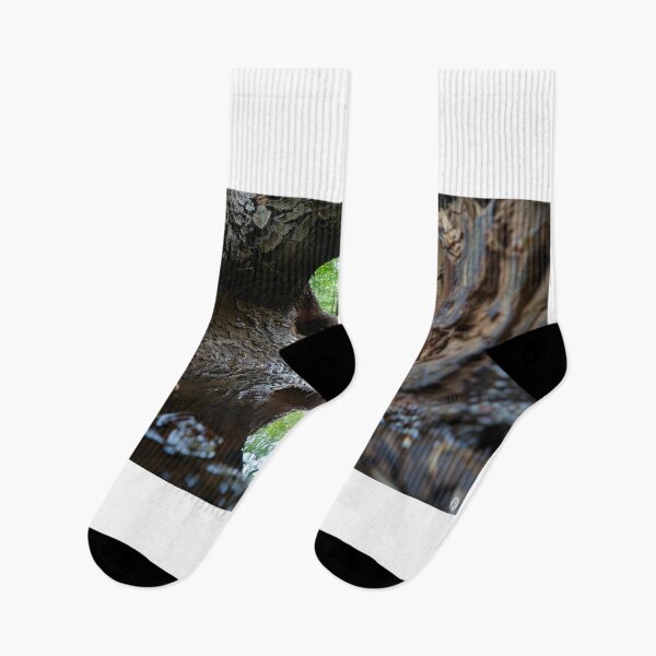 Item preview, Inland designed and sold by RicoInStudios.