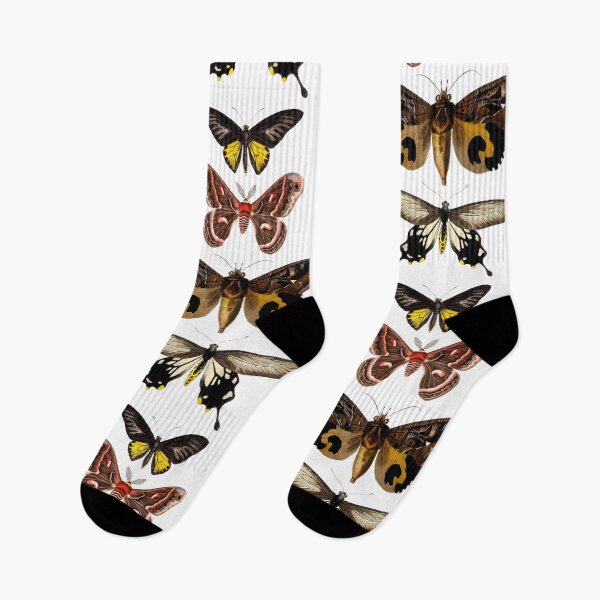 Item preview, Entomology Moth Luna Moth Lunar Moth Dragonfly Insects Bugs Celestial Butterflies  designed and sold by InnaMGraphic.