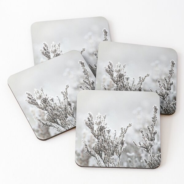Item preview, 1.5.2024: Frost Covered Heather designed and sold by Petri Volanen.